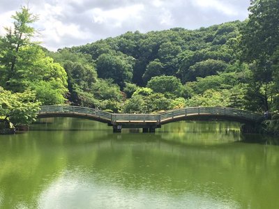 🌳 다다오 공원 (忠生公園) 이미지 2